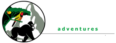 Bush-Shrike Adventures