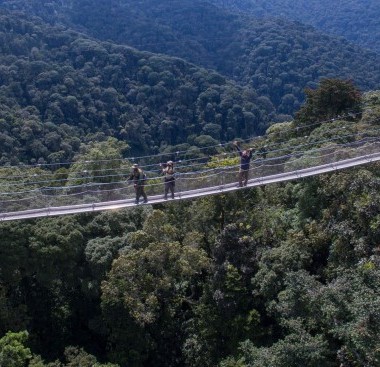 canopy walk