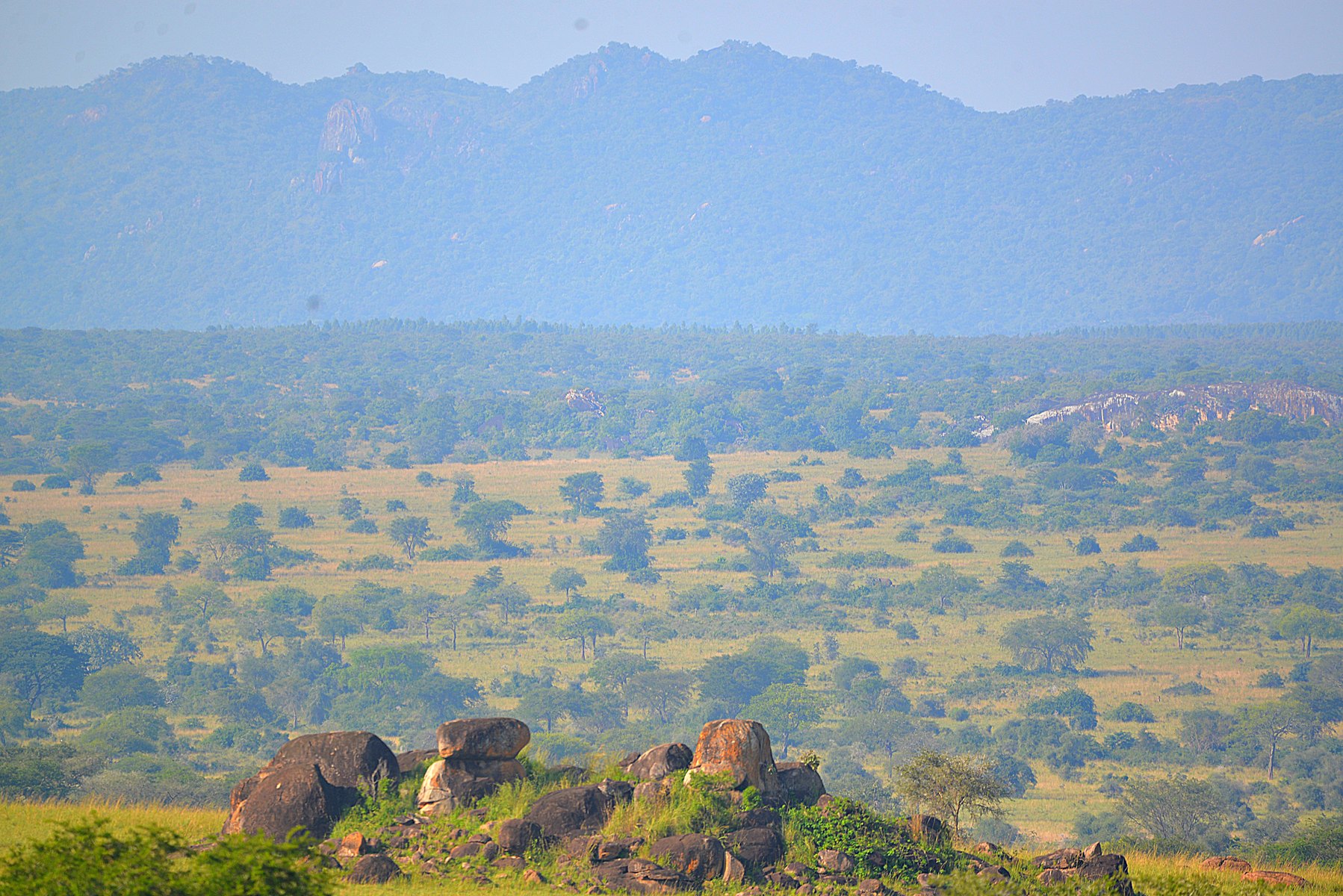 11-Day Eastern & Northern Uganda Safari – Adventure, Culture & Wildlife