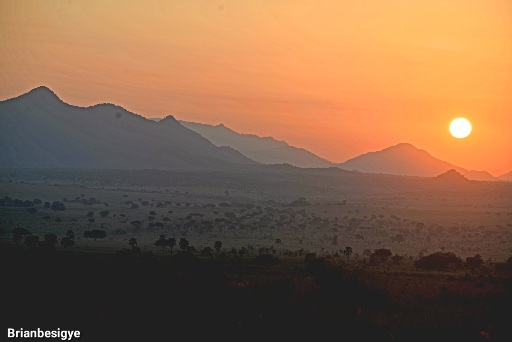 5-Day Rwanda Primates & Culture Safari