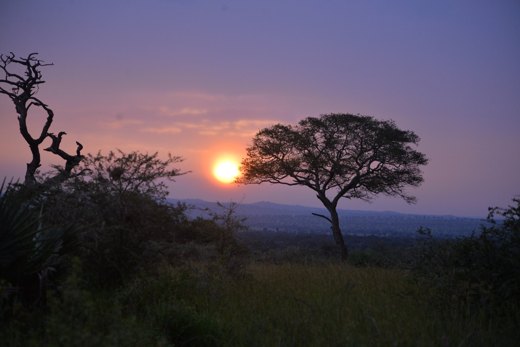 5-Day Kidepo Valley Fly-In Wildlife Safari